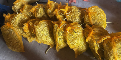 Various quantities of beans for sale