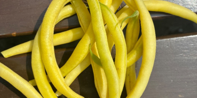 Various quantities of beans for sale