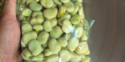 Vendo fave confezionate in sacchetti da 500 g, sigillati,