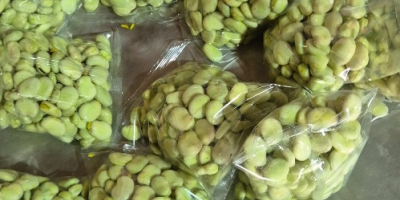 Vendo fave confezionate in sacchetti da 500 g, sigillati,