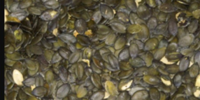 Salve, vendiamo semi di zucca da olio, raccolto 2026.