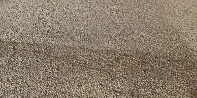 Ich werde Erbsen in großen Mengen verkaufen.