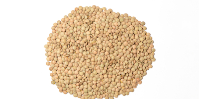 We offer green lentils calibrated in[phone number] fractions: -