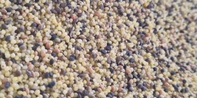 I have a millet groat for sale, please contact
