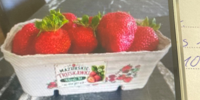 Fragole San Andreas appena fatte Molto buone Tel. [telefono]