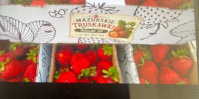 Fragole San Andreas appena fatte Molto buone Tel. [telefono]