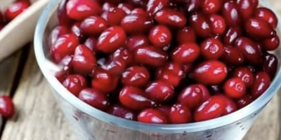I invite you to purchase cornel berries. The fruit