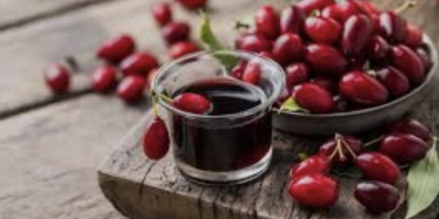 I invite you to purchase cornel berries. The fruit