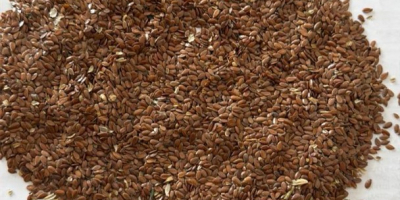 I sell flaxseed loosely packed - BIG BAG cleaned