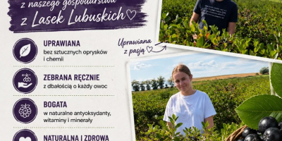 Chokeberries are available for collection immediately after harvesting approximately