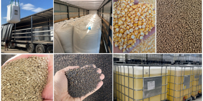 СЕЛСКОСТОПАНСКИ ПРОДУКТИ ОТ УКРАЙНА – ПРОДЪЛЖАВАЩО СЪТРУДНИЧЕСТВО Търсим италиански