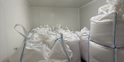 Vendo big bag di mais vitreo alta qualità per