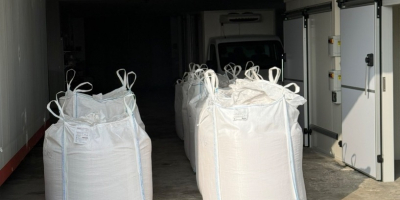 Vendo big bag di mais vitreo alta qualità per