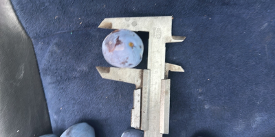 Ich verkaufe 150 Tonnen Pflaumen der Sorte Stanley. Der
