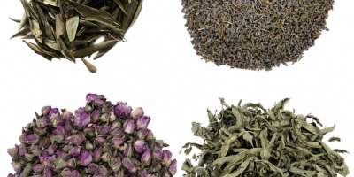 Plante aromatice organice și convenționale. Oferim mentă, mentă creață,
