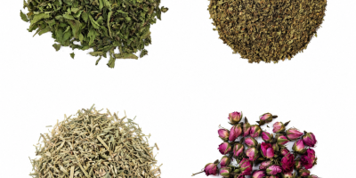 Plante aromatice organice și convenționale. Oferim mentă, mentă creață,