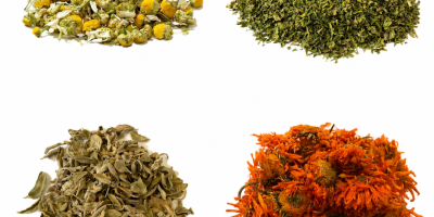 Plante aromatice organice și convenționale. Oferim mentă, mentă creață,