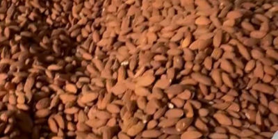 Guten Morgen. Ich biete hochwertige Mandeln aus Spanien im