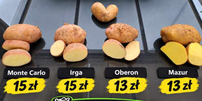 Здравейте, продавам картофи Ирга, 4 см и нагоре. Торби