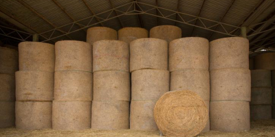 I WANT TO BUY HAY BALES, first and second
