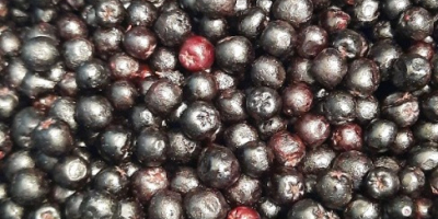 Aronia congelată, clasa 1 - organică și convențională. Cantități