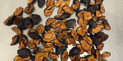 We offer freeze-dried plum pieces, produced by a Polish