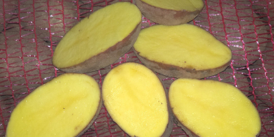 **POTATOES FOR SALE – BELLAROSA & CARRERA** High-quality table