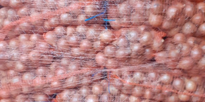 Sárga hagymát kínálunk. 10/15 kg-os zsákokban. Saját szállítással az