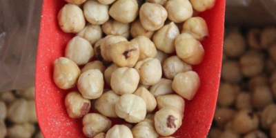 Nocciole turche di prima qualità, sbucciate e completamente debucciate.