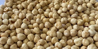 Nocciole turche di prima qualità, sbucciate e completamente debucciate.