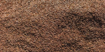 I'm selling brown flaxseed, radish, vetch, and coriander, 97%