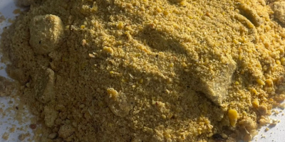 Sojakuchen aus der Ukraine – 45 % Protein (Trockengewicht),