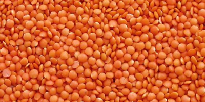 Red Lentils: The Red Footballs are also made from