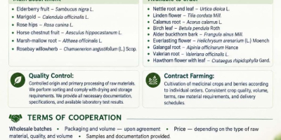 I represent the Ukrainian agrotechnical company Galician Herbs. We