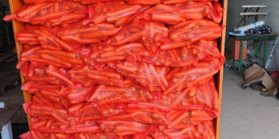 I'm offering fresh, farm-fresh carrots for sale. Our carrots