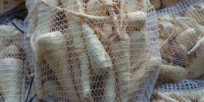 I'm offering fresh parsnips from this year's harvest. Packaging: