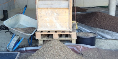 Unsprayed, cleaned buckwheat, 13% moisture. Available in big bags