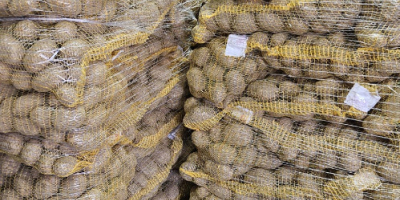 We offer potatoes from our own FITO production, with