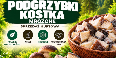 Gefrorene Steinpilzwürfel. Zertifizierte polnische Waldpilze der Ernte 2026. Las-Bór