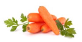 Fresh carrots 10 kgs in pp bag Class I
