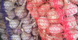 Я продам чеснок: - калибр 40-50 мм - калибр