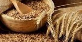 Здравствуйте, наша компания хочет предложить вам нашу пшеницу. Продукт:
