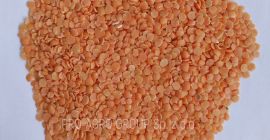 *** Красная чечевица (половина) *** Параметры качества: Чистота -