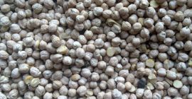 own Ukrainian production (2018), size of seeds: 8-12 mm;