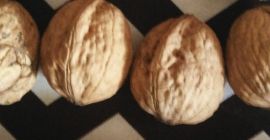 Ich muss italienische Bio-Nüsse aus dem Hinterhofgarten verkaufen -