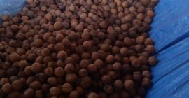 Hallo, ich muss etwa 100 kg Walnuss in der