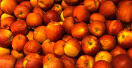 I will buy a striped gala apple, royal gala,