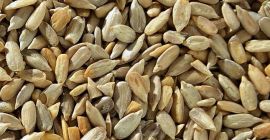 Katolik Sp. Z oo di Kietrz venderà prodotti alimentari