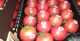 Venderò pomodoro lampone, polacco, bello, fresco. Ricevimento a Błędów