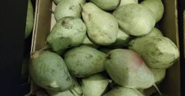 Индустријска крушка за продају, лукасовка, пицкуп у Гројец,